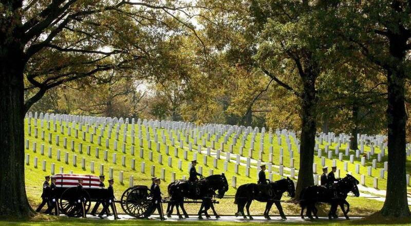 美国陆军将终止礼仪马匹使用 发言人：会将马送去领养