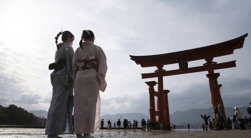 杜绝「假观光真换照」日本驾照转换新制拟10月上路  台湾不受影响