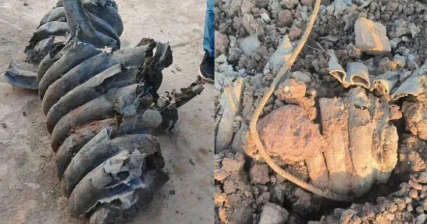 釣魚愛好者跟蹤一個月,揪出偷排企業!