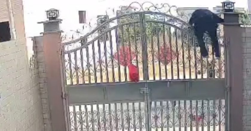 中國82歲老奶奶翻3米高圍欄出門 監控畫面嚇人