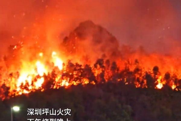 非常恐怖   深圳技术大学附近突发山火