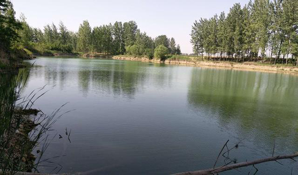 安徽太和:一村支書私自采砂把集體土地租賃給他人被投訴