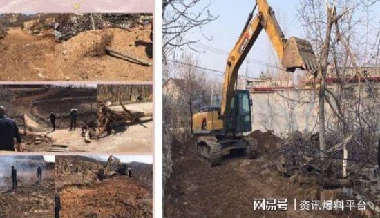 山东泰安:村书记“滥伐林木”终止调查,村民表态继续维权