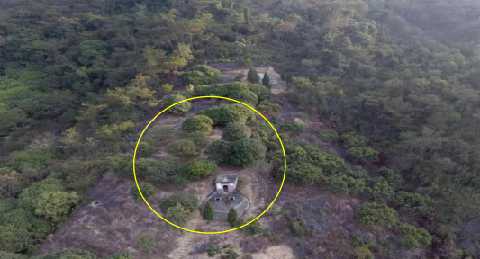 市民舉報毀林建墓行為,相關部門為逃避追責回復稱:在公辦