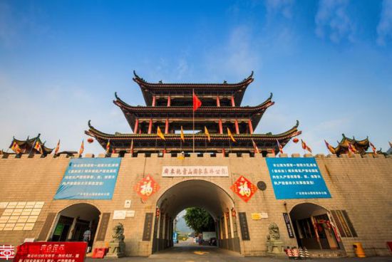 在「夾縫」中倔強生長的觀音山國家森林公園