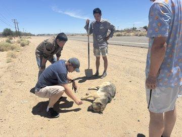 自由雕塑公園「滅共」二字遭害怕 守護狗狗被毒死