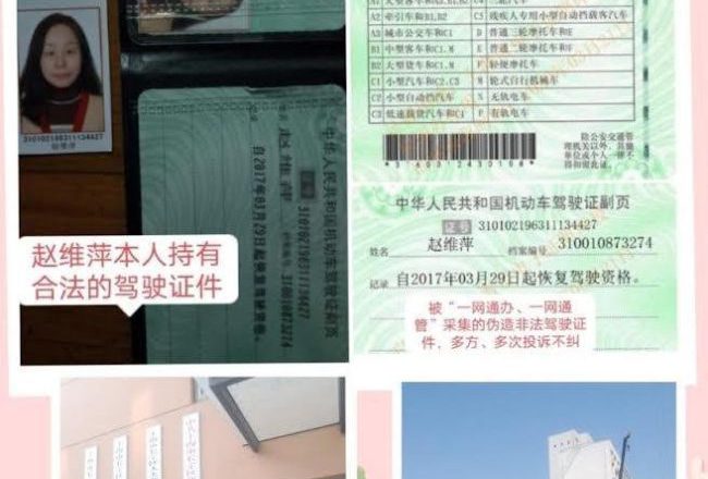 趙維萍進京上訪被截回後關進崇明橫沙島